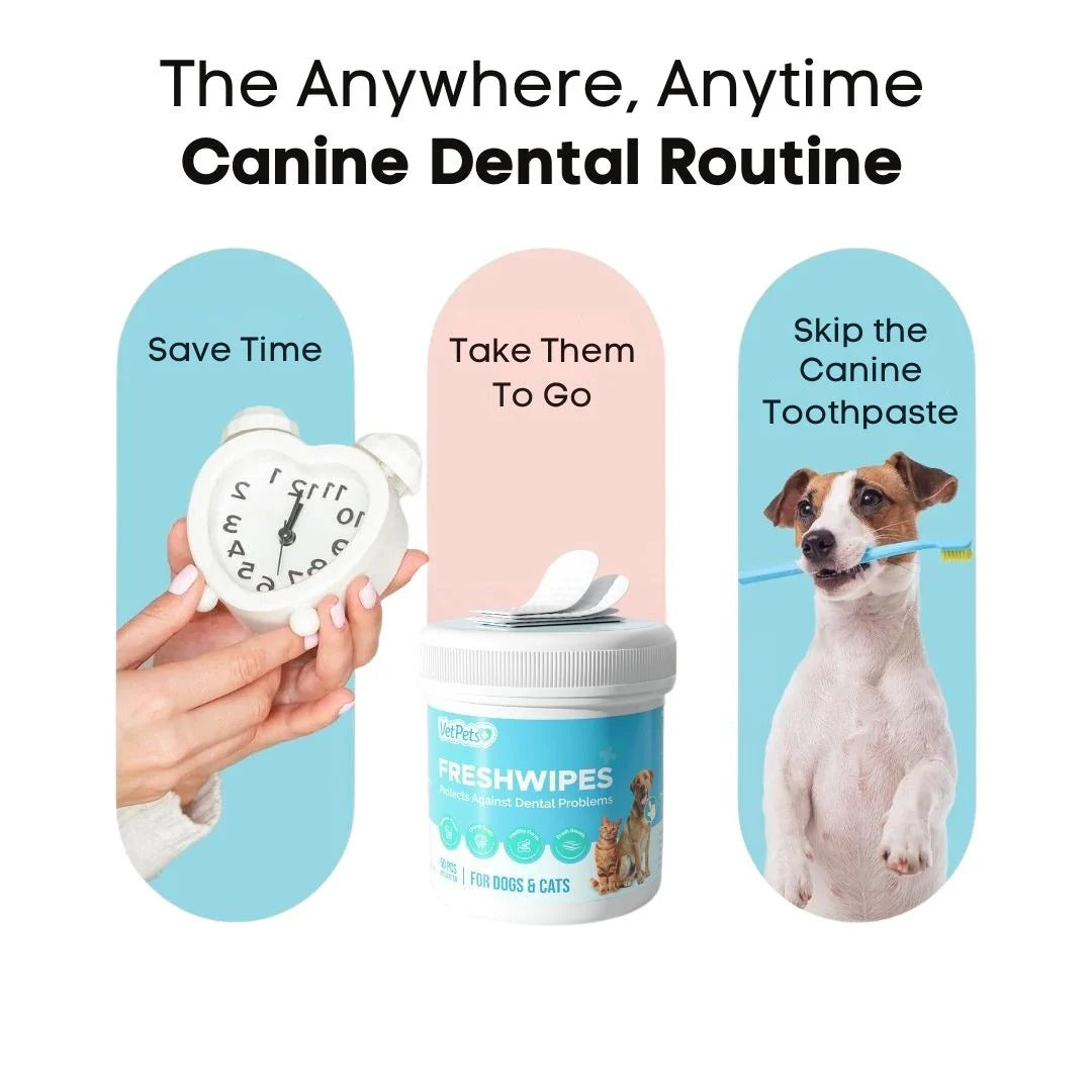 FreshWipes ™ Pet Dental Wipes – 50 Wipes Pack