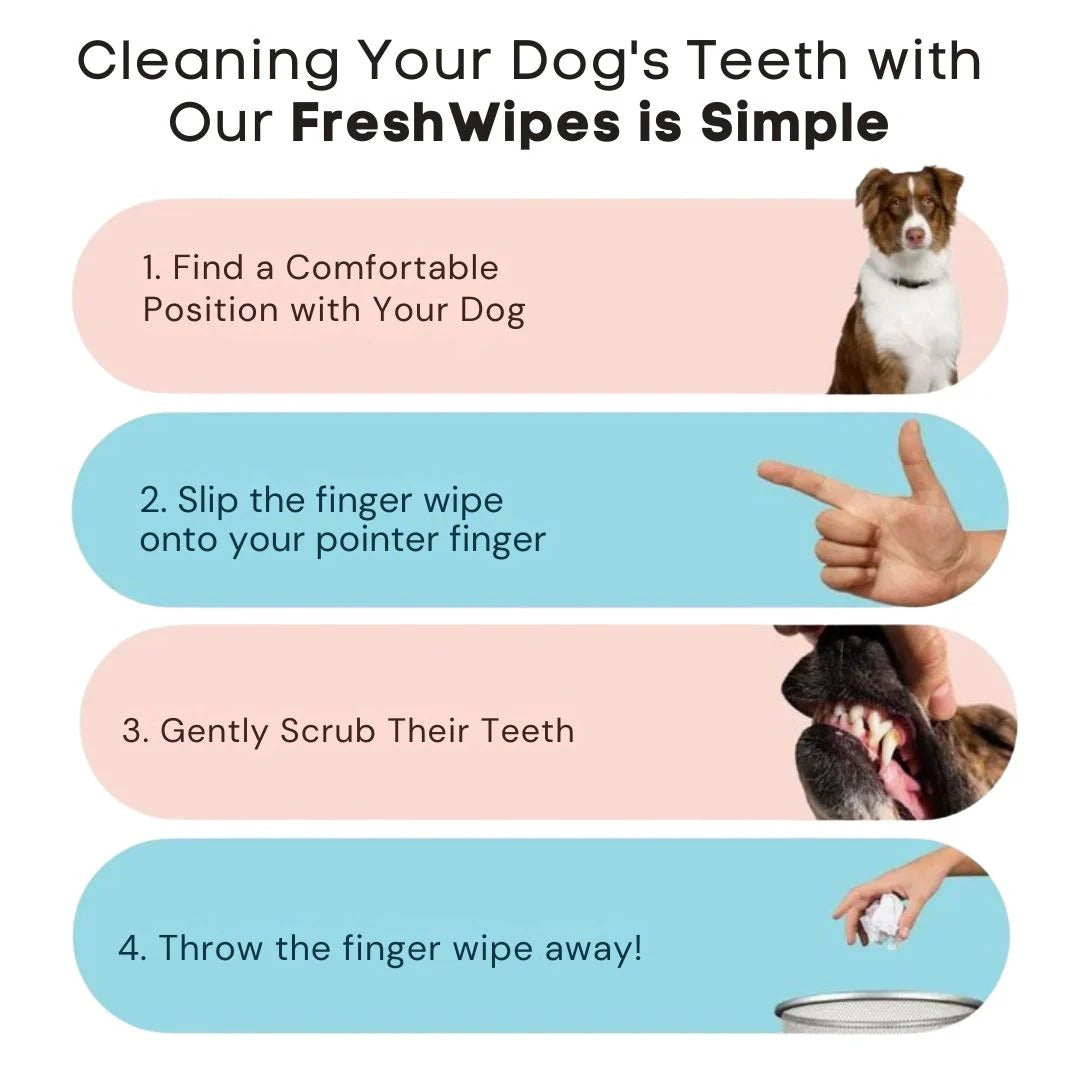 FreshWipes ™ Pet Dental Wipes – 50 Wipes Pack