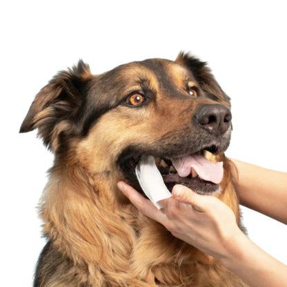 FreshWipes ™ Pet Dental Wipes – 50 Wipes Pack